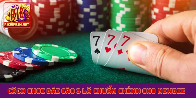 Cách chơi bài cào 3 lá chuẩn chỉnh cho newbie