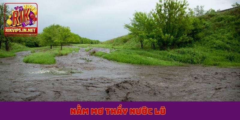 nằm mơ thấy nước lũ
